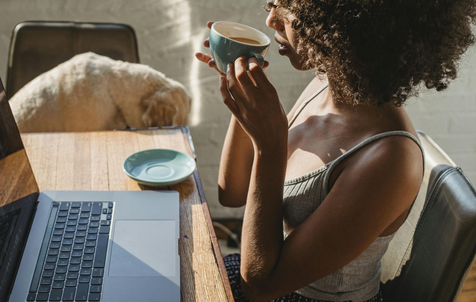 African American female freelancer using netbook near dog